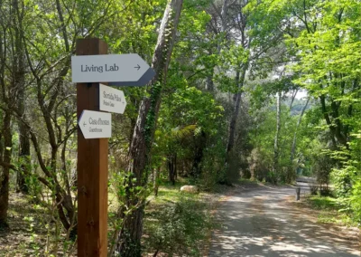 Retolació i wayfinding integrats en el paisatge de La Bruguera (Girona)