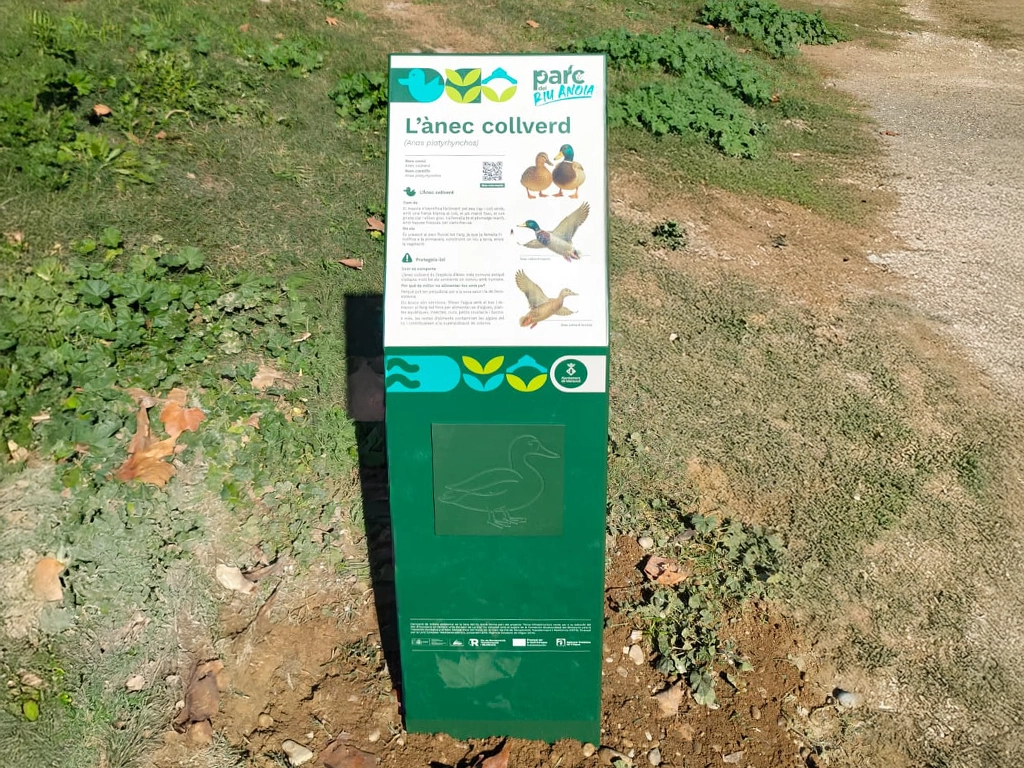Un altre dels tòtems divulgatiu instal·lat en el Parc Fluvial Riu Anoia projecte ESSA PUNT